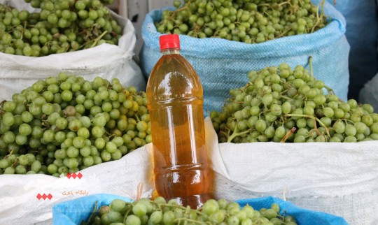 بازار آبغوره گیری در تاکستان +تصاویر